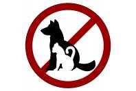 Табличка круглая "Вход с животными запрещен"
