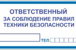 Знак ' ' (ГОСТ Р 12.4.026-2001) 200х100 мм S15